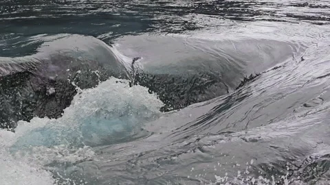 Close-Up of Dynamic Water Flow. A close-up shot captures the powerful and Stock Footage 281868945