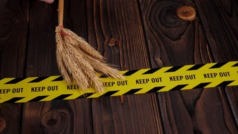 Close-up of ears of wheat with a yellow warning tape that says KEEP OUT. Stock Footage 328025429