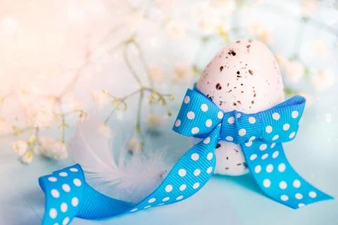 Close up of an easter egg. Spring flowers and feather over blue background... Stock Photos