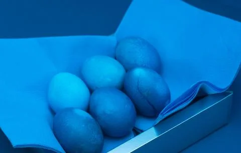Close up of easter eggs in box with napkin. classic blue monochromatic compos Stock Photos