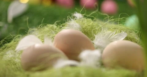 Close up of easter eggs. Easter decoration concept. Stock Footage 175445946