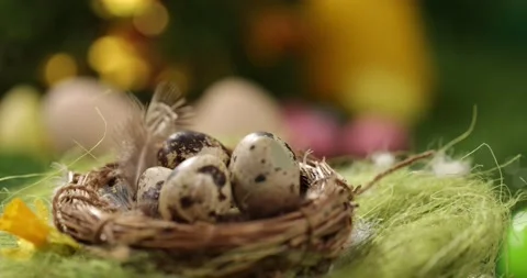 Close up of easter eggs. Easter decoration concept. Stock-Footage 175448600