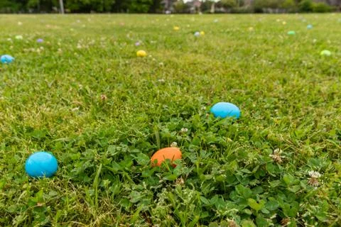 Close up of Easter eggs in grass field, with copy space Stock Photos