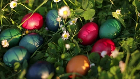 Close up of Easter eggs hidden in grass for Easter egg hunt Stock Footage 237727315