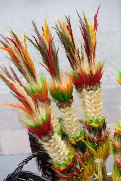 Close up of  easter sunday palm Stock Photos