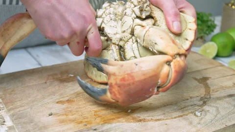 Close-up of eating a crab by pulling off the claws with a twisting motion in 4K. Stock Footage 146330583