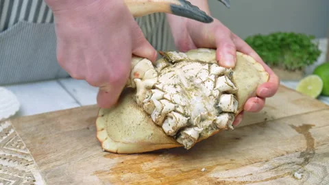 Close-up of eating a crab by pulling off the claws with a twisting motion in 4K. Stock Footage 146330617