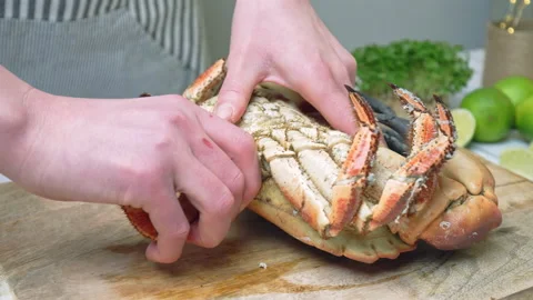 Close-up of eating a crab by pulling off the legs, a twisting motion in 4K. Stock Footage 146330971