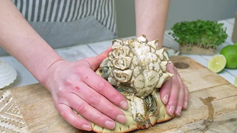 Close-up of eating a crab by pulling off the top shell, main body in 4K. Stock Footage 146331880