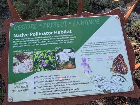 Close-up educational sign about native pollinator habitat Stock Photos