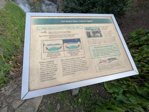Close-up of an educational sign explaining how barley straw naturally helps 库存照片