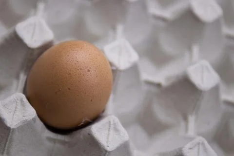 Close up an Egg in the craft tray Stock Photos