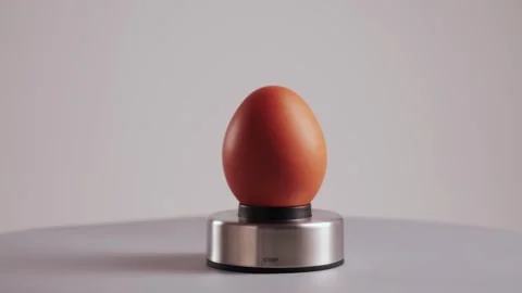 Close up of egg on egg piercer. An egg piercer pierces the air pocket of an Stock Footage 330486051