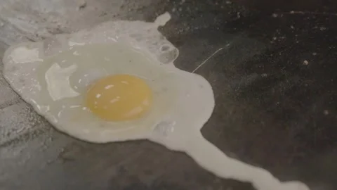 Close-Up of Egg Frying on Griddle at Sydney Market Food Stall in Australia Stock Footage 345714484
