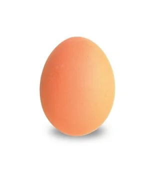 Close up of an egg isolated on white background Stock-Fotos