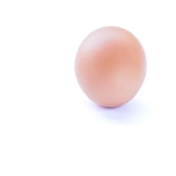 Close up of an egg isolated on white background Stock Photos