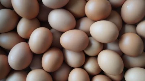 Close up of egg  in market Stock Photos