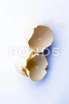 Close up of Egg, Ovum shells isolated on white. Stock Photos