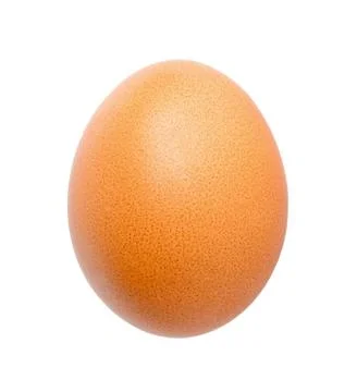 Close up of egg Stock Photos