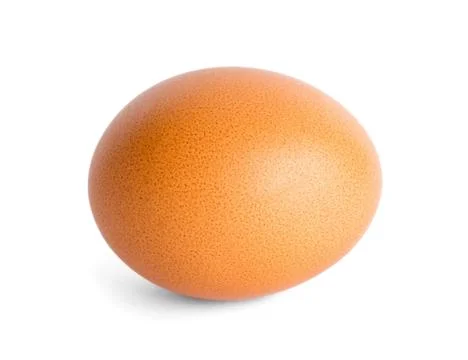 Close up of egg Stock Photos