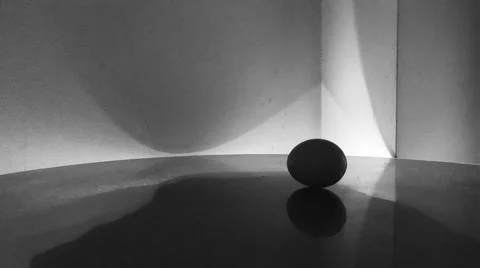 Close Up Of An Egg 库存照片