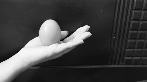 Close Up Of An Egg 库存照片