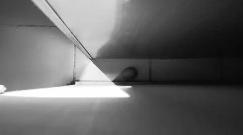 Close Up Of An Egg 库存照片