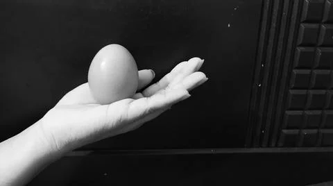 Close Up Of An Egg 库存照片