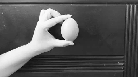 Close Up Of An Egg 库存照片