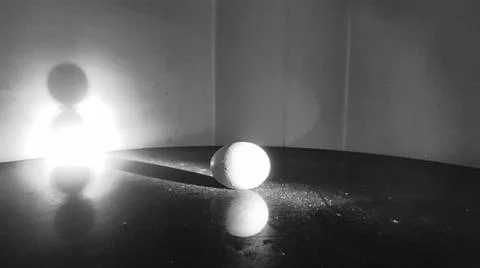 Close Up Of An Egg Foto stock