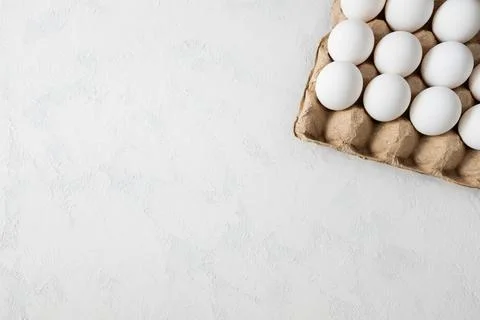 A close up of a egg Stock Photos