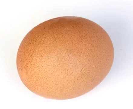 Close-up egg on white background Stock Photos