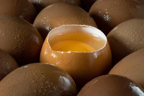 Close-up of Egg yolk in Broken raw chicken eggshell and Fresh chicken egg (.. Stock Photos