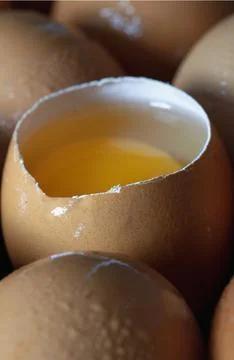 Close-up of Egg yolk in Broken raw chicken eggshell and Fresh chicken egg (.. Stock Photos