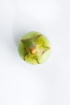 Close up Eggplant on white Stock Photos