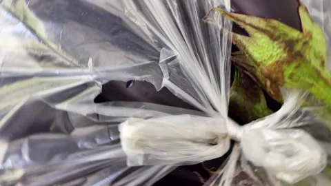 Close-up eggplants are turning Stock Footage 248750788