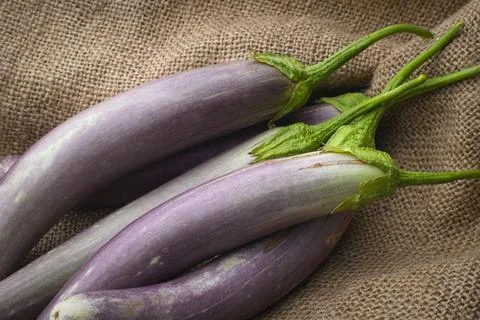 Close up of eggplants on burlap. Stock Photos