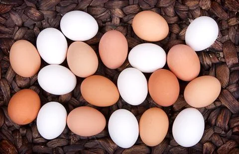 Close-up of eggs in a basket Stock Photos