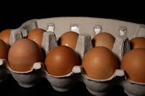 Close up of eggs on black background in egg carton. Stock Photos
