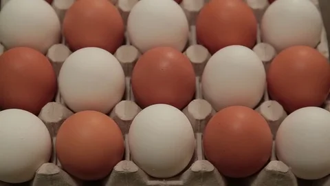 A close up of Eggs in an egg carton with a sliding camera move. Stock Footage 84561203