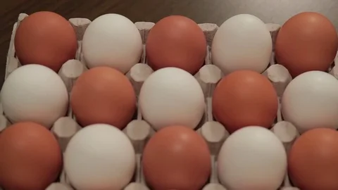 A close up of Eggs in an egg carton with a sliding camera move. Stock Footage 84561218