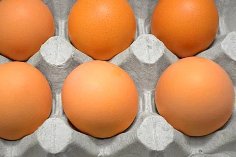 Close-up of eggs with expiration date Foto stock