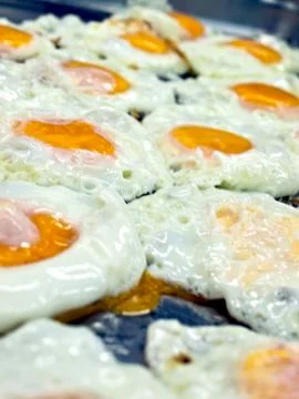 Close up eggs 库存照片