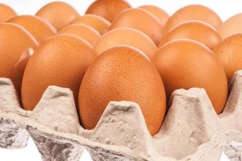 Close up of an eggs Foto stock