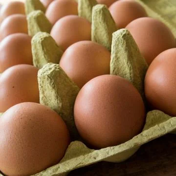 Close up eggs 库存照片