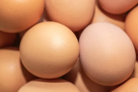 Close up eggs Stock Photos