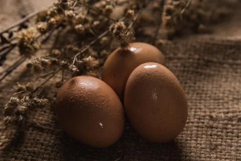 Close up of eggs on the table Stock Photos
