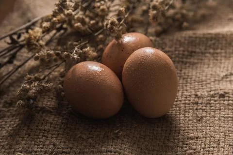 Close up of eggs on the table Stock Photos