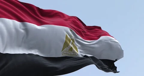 Close-up of Egypt national flag waving on a clear day Stock Footage 302887596