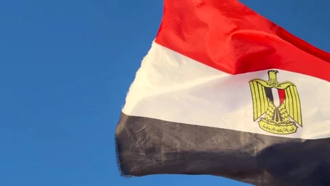 Close Up of Egyptian National Flag Fully Unfurled and Waving in the Wind against Video stock 341838526